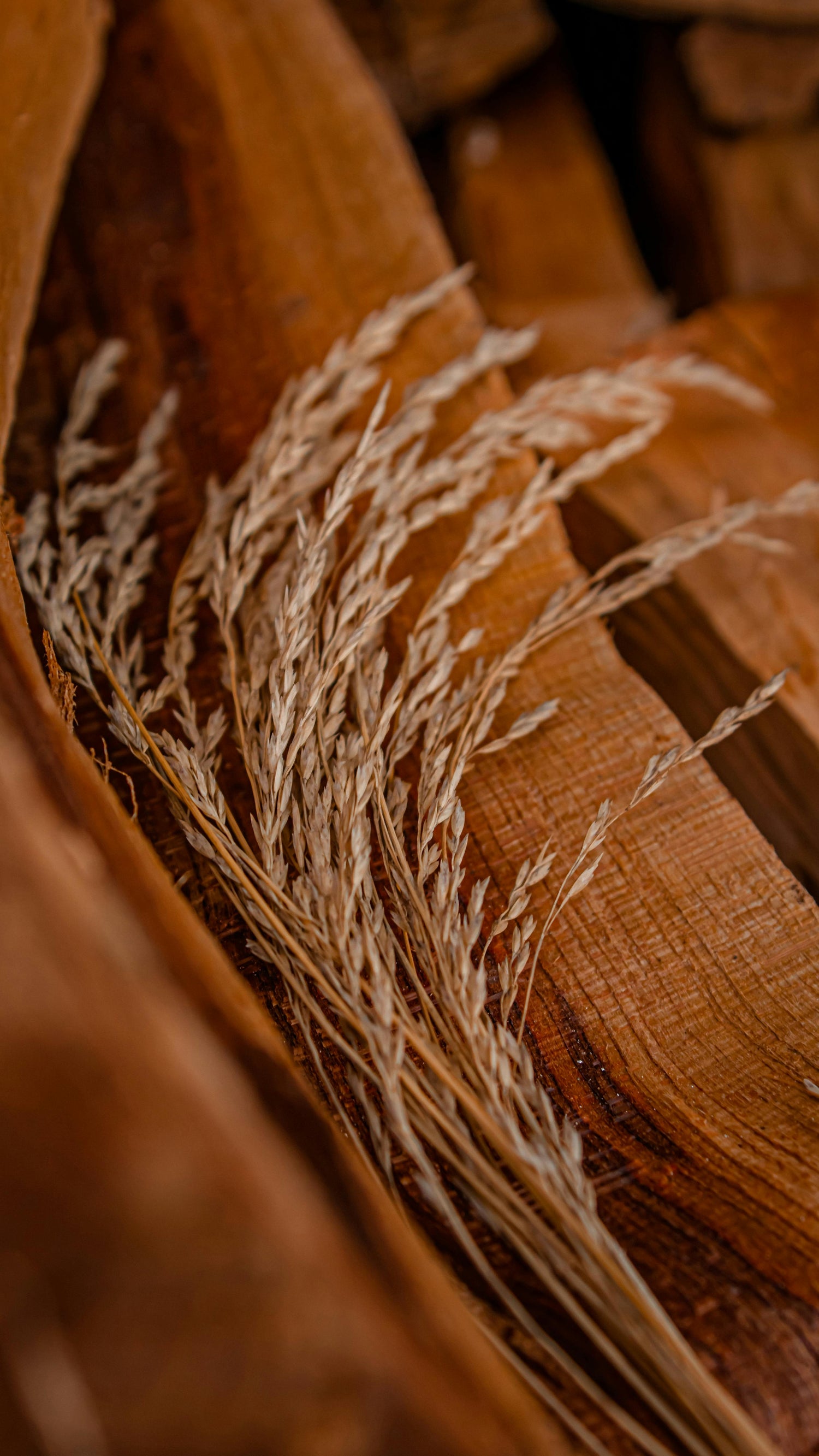 Commercer: The Warm Light Brown Redefining Modern UK Bedrooms