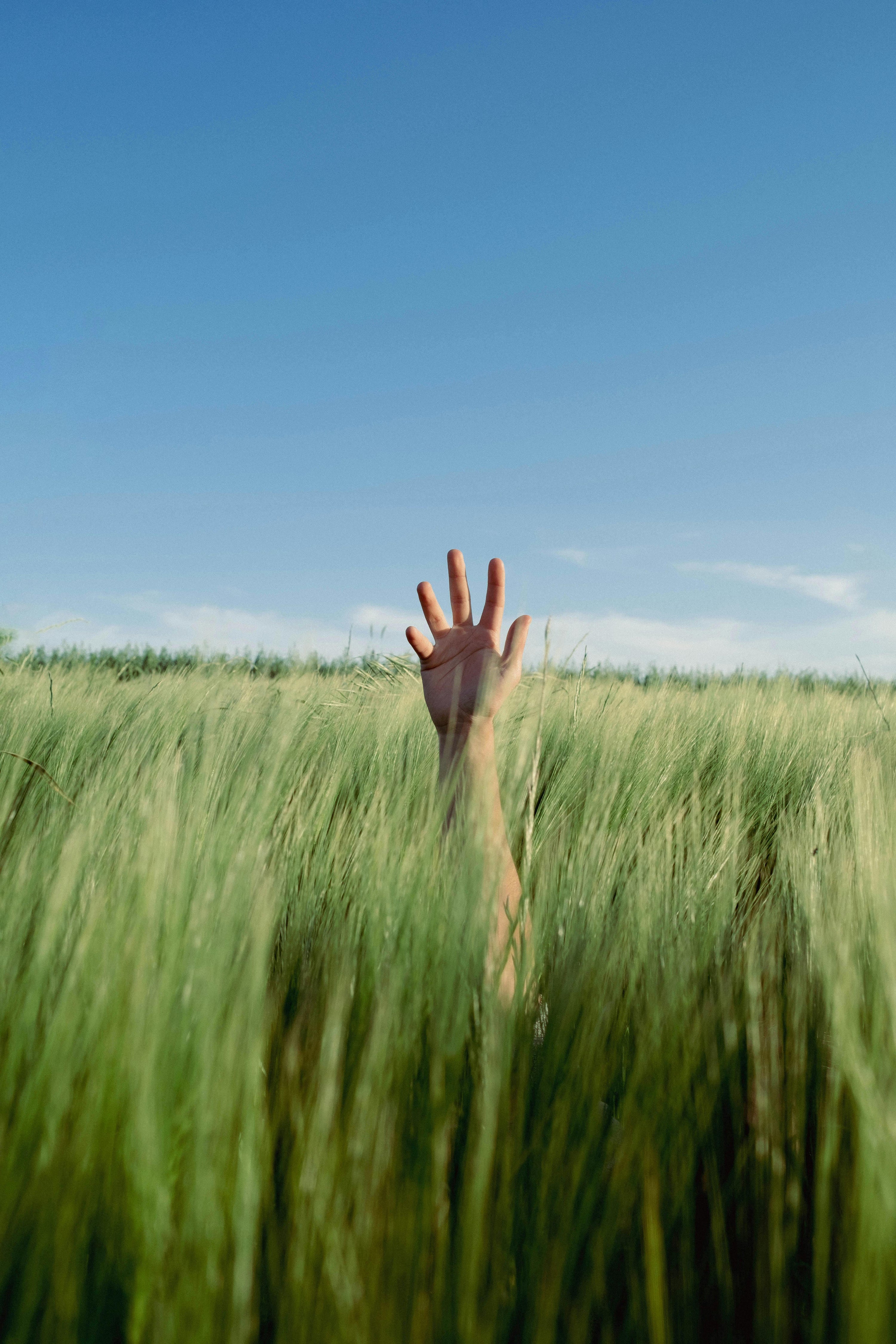 The Importance of Women’s Employment: Driving Global Economic Growth and Sustainable Development